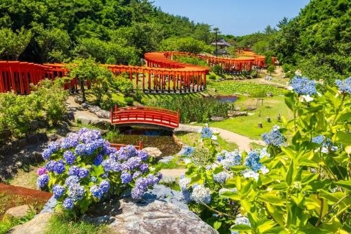 NGÀY 11 | AOMORI, JAPAN 